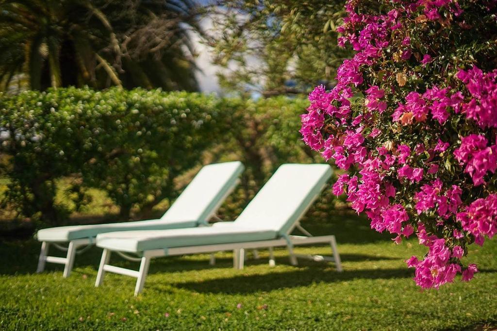 Casa 2Mariposas Villa Михас Екстериор снимка