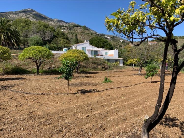 Casa 2Mariposas Villa Михас Екстериор снимка